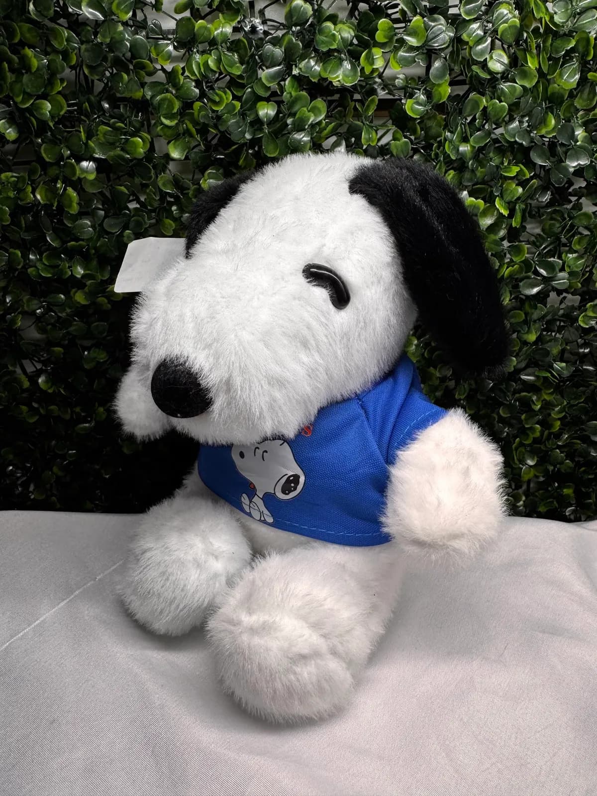 Snoopy