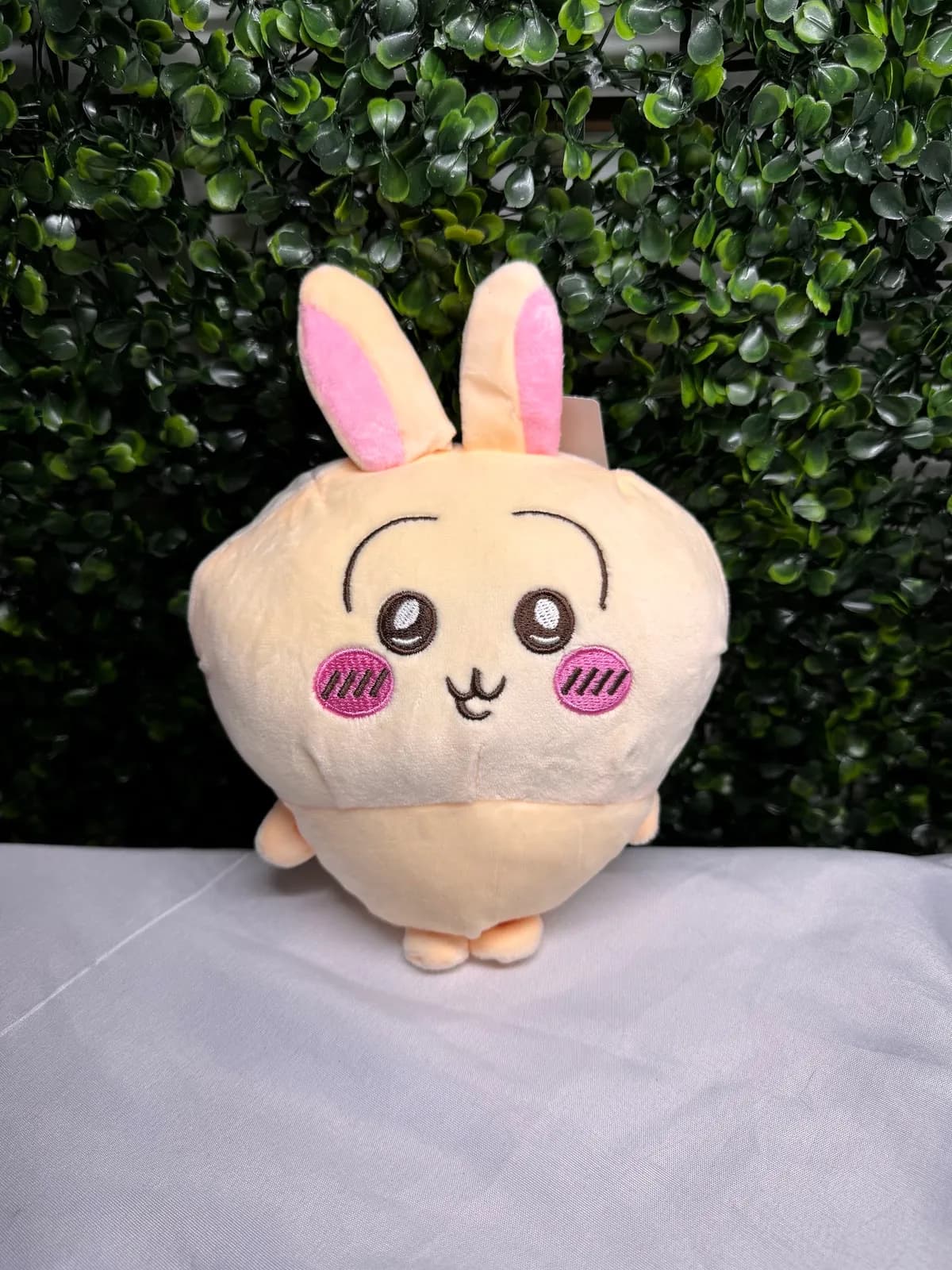 Usagi